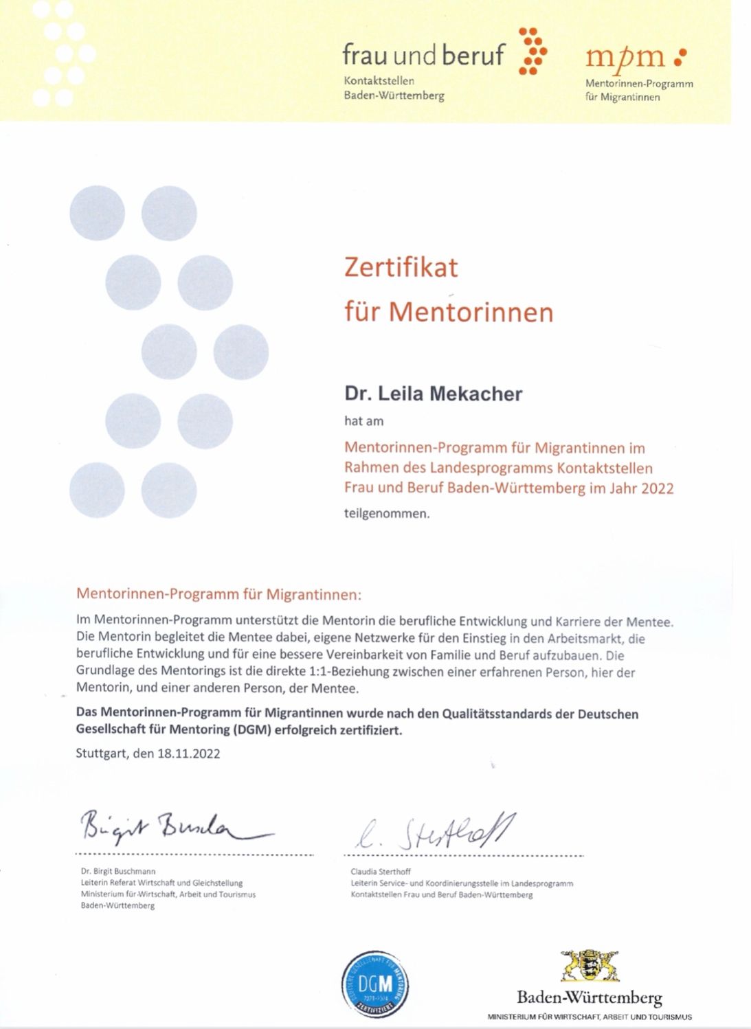 Mentorinnen Programm 1.jfif